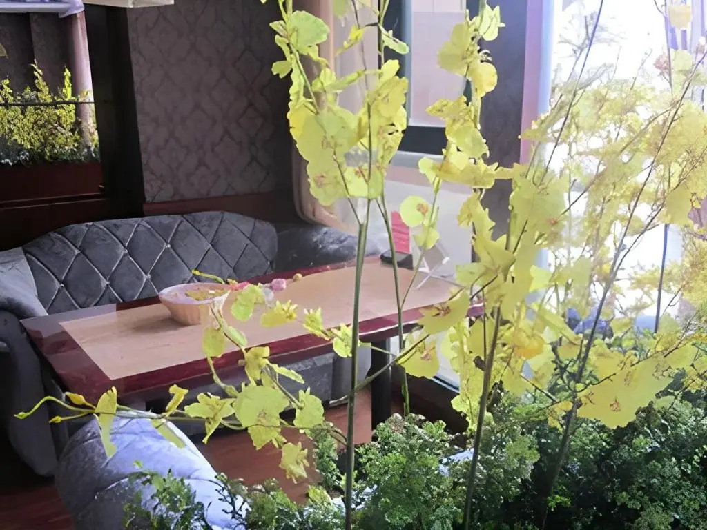 GreenTree Inn Changzhou Liyang Pingling Square Business Hotel - Général