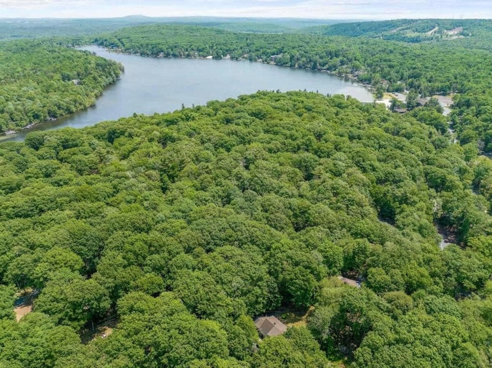 A Family Woodland Retreat