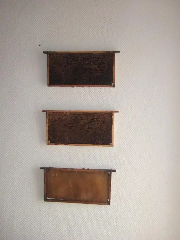 Gasthaus Hofmann - Chambres