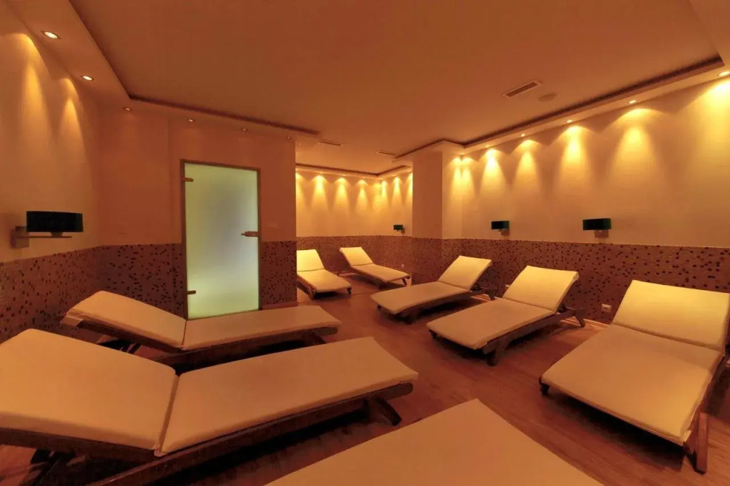 Azalia Hotel Balneo & SPA - Général