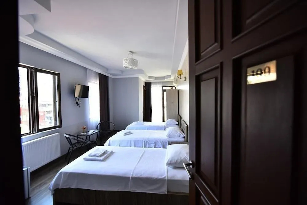 Hotel Paliashvili - Général