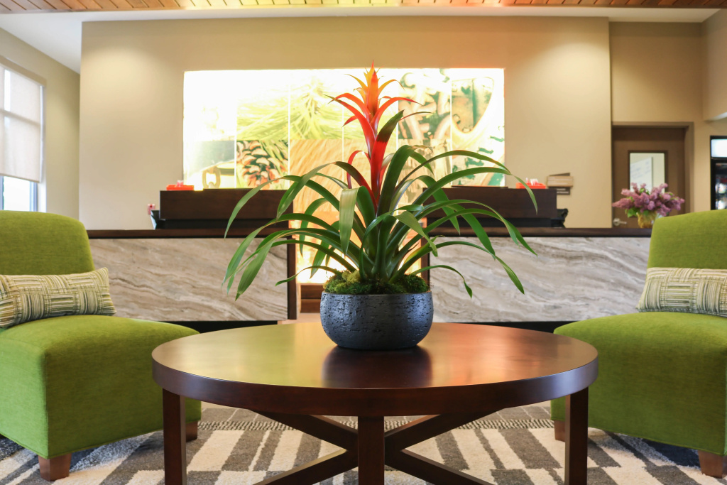 Hotel Indigo Traverse City by IHG - Général