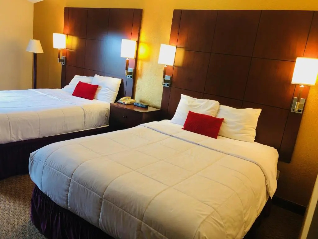 Standard Double room (twin beds)