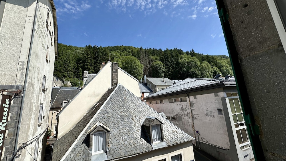 Mountain View Flat for 5 in Mont-dore