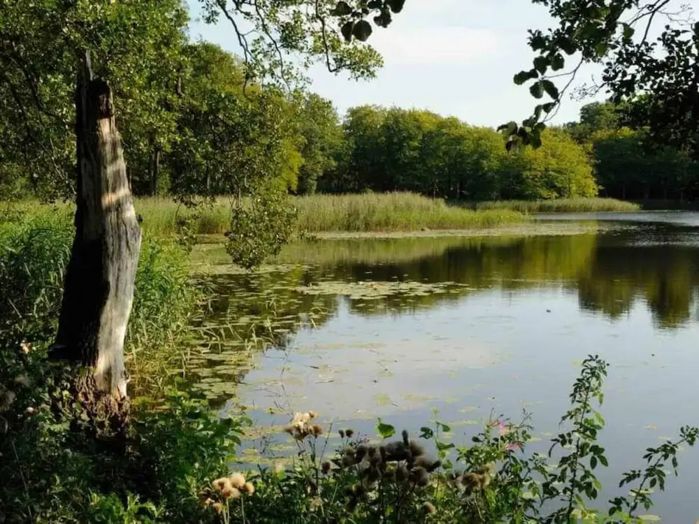 5 Star Holiday Home in Frederiksvaerk