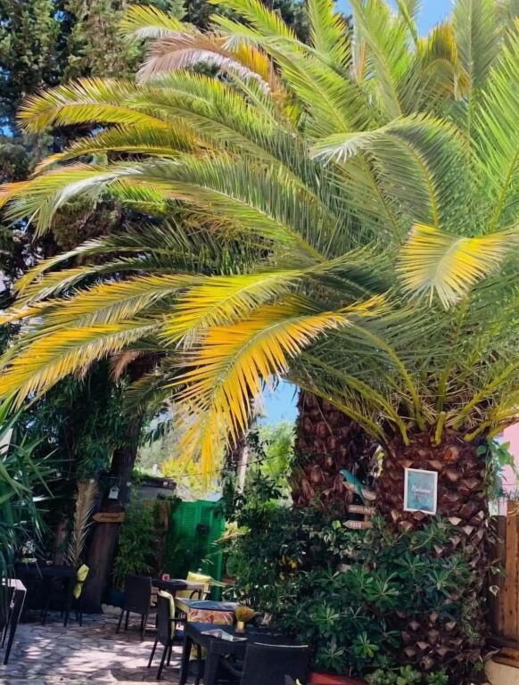 Hotel Le Petit Castel - Général