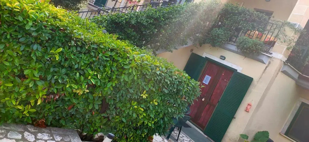 Tana per gli ospiti