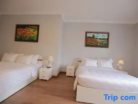 Deluxe Double room (twin beds)