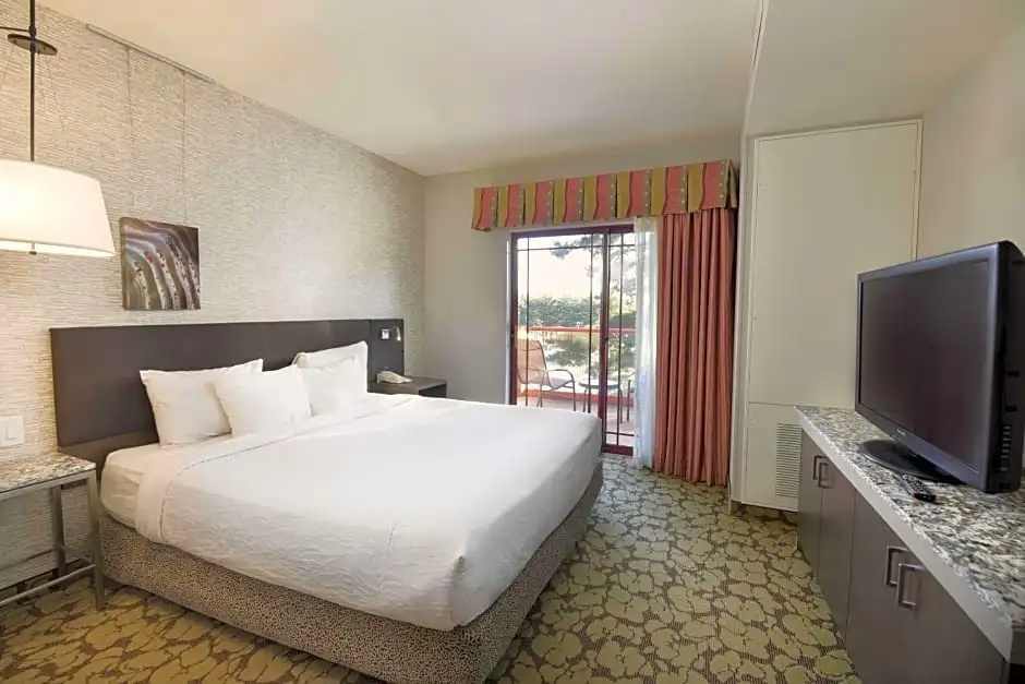 Hilton Garden Inn Wisconsin Dells - Chambres