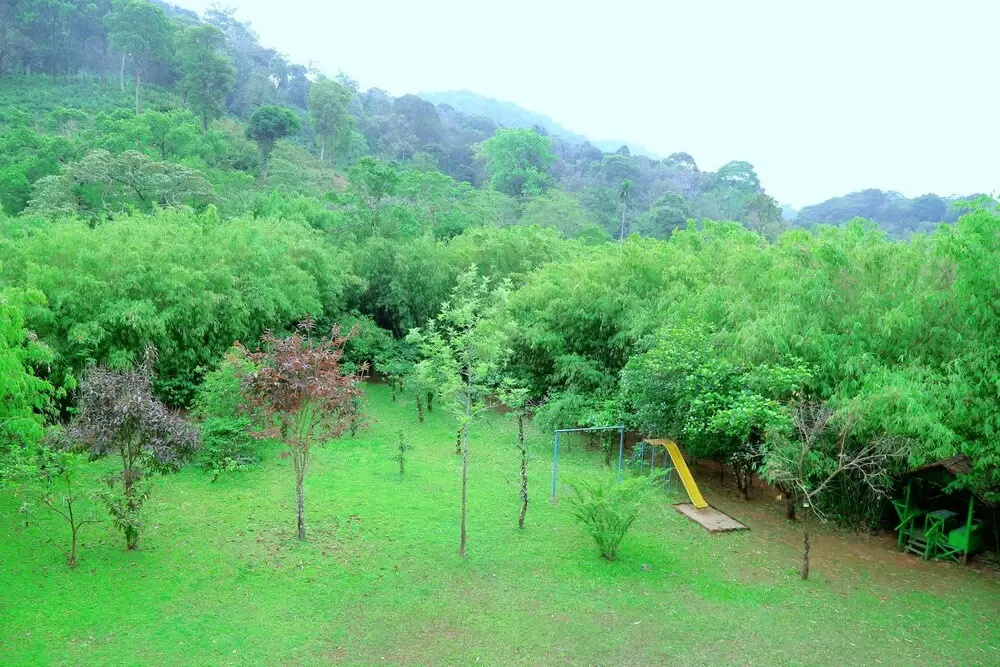 Vythiri Greens Resort - Chambres