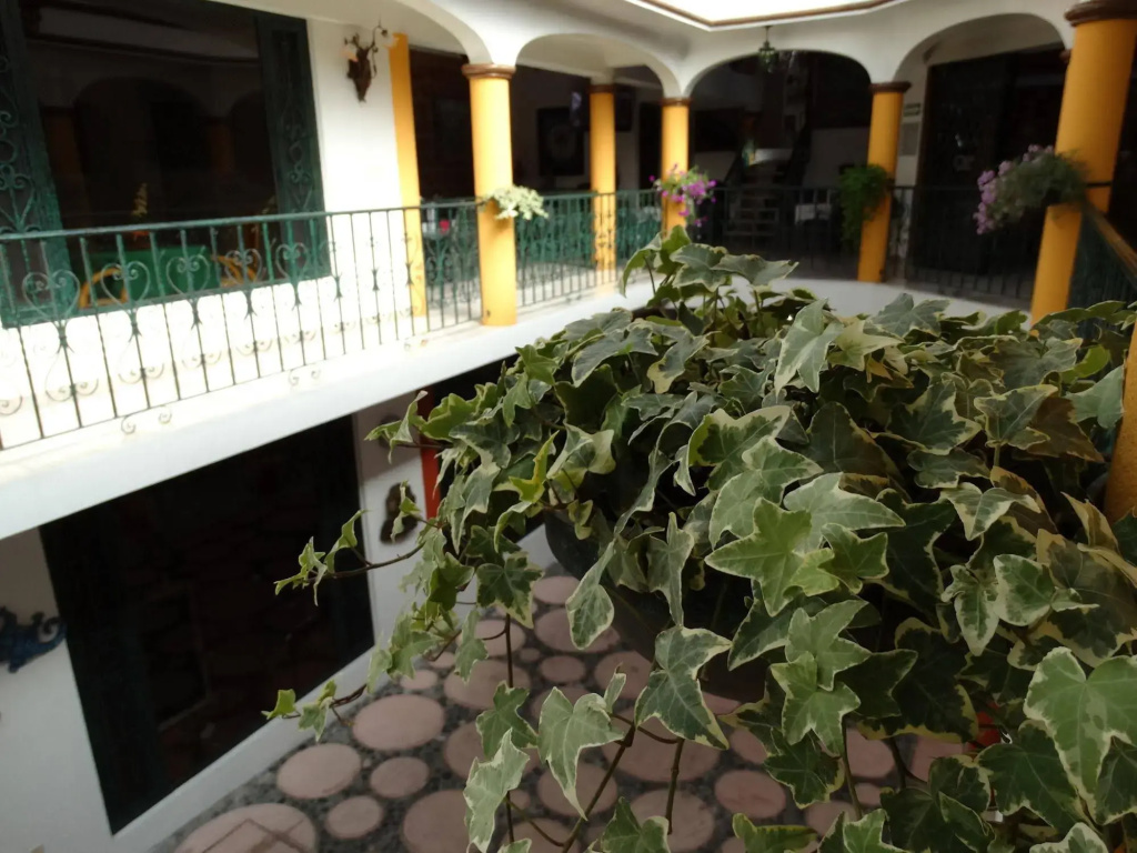 Paraiso Hotel Garden & Spa