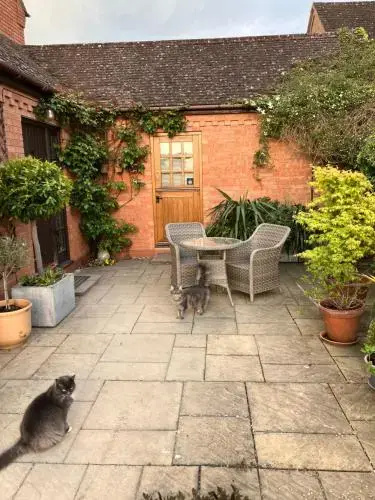 The Burrow