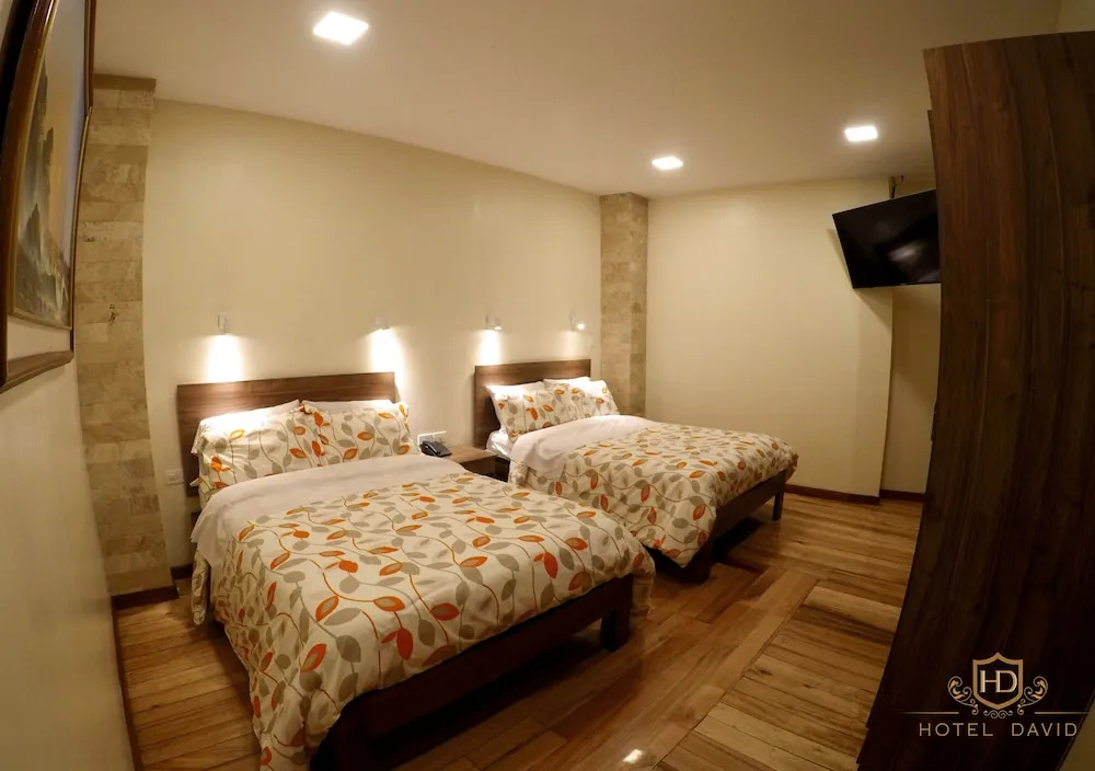 Hotel David - Chambres