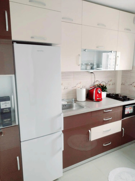 Delightful Apartament Brâncuși