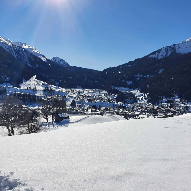 Madrisa Lodge - Général