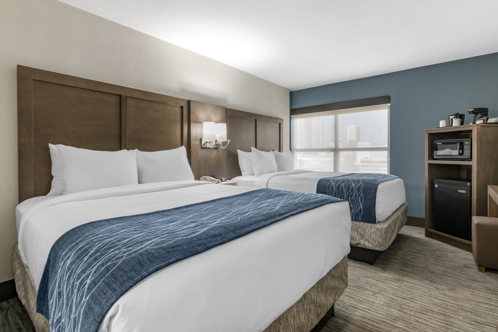 Comfort Inn & Suites Downtown Brickell-Port of Miami - Général