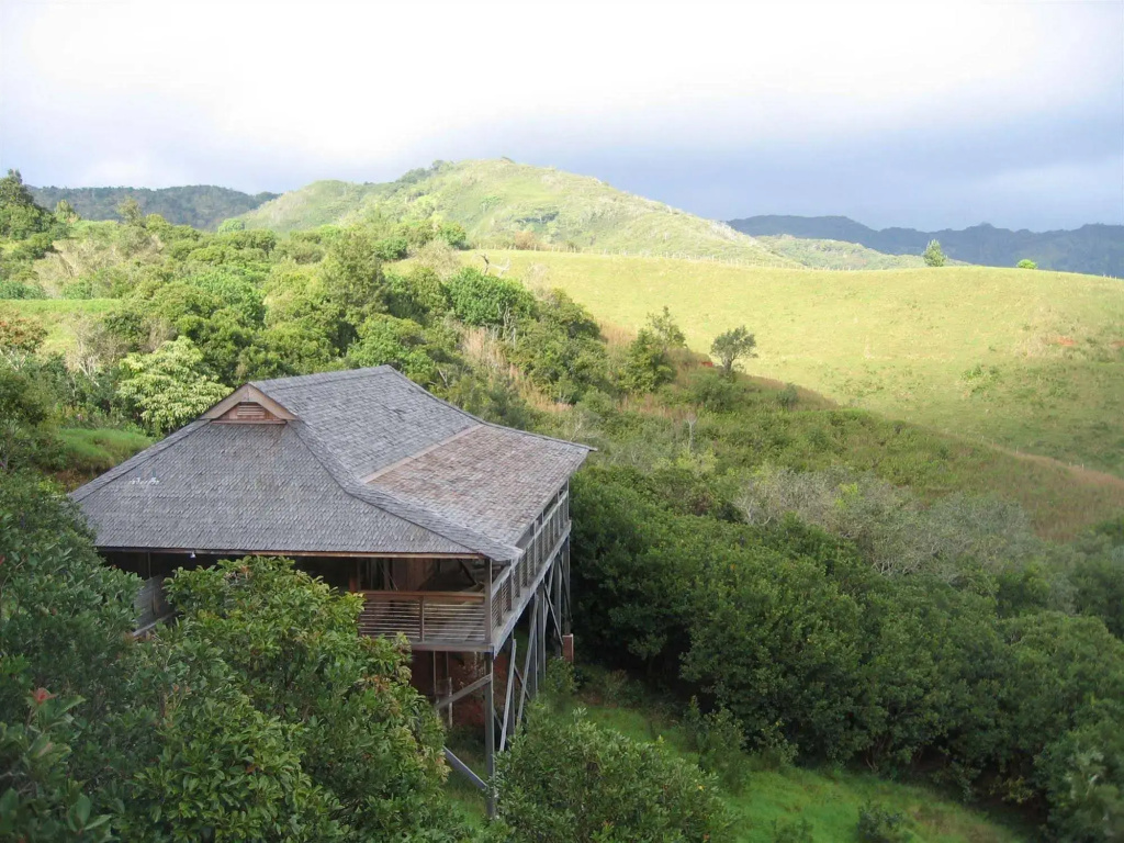 O'Luina