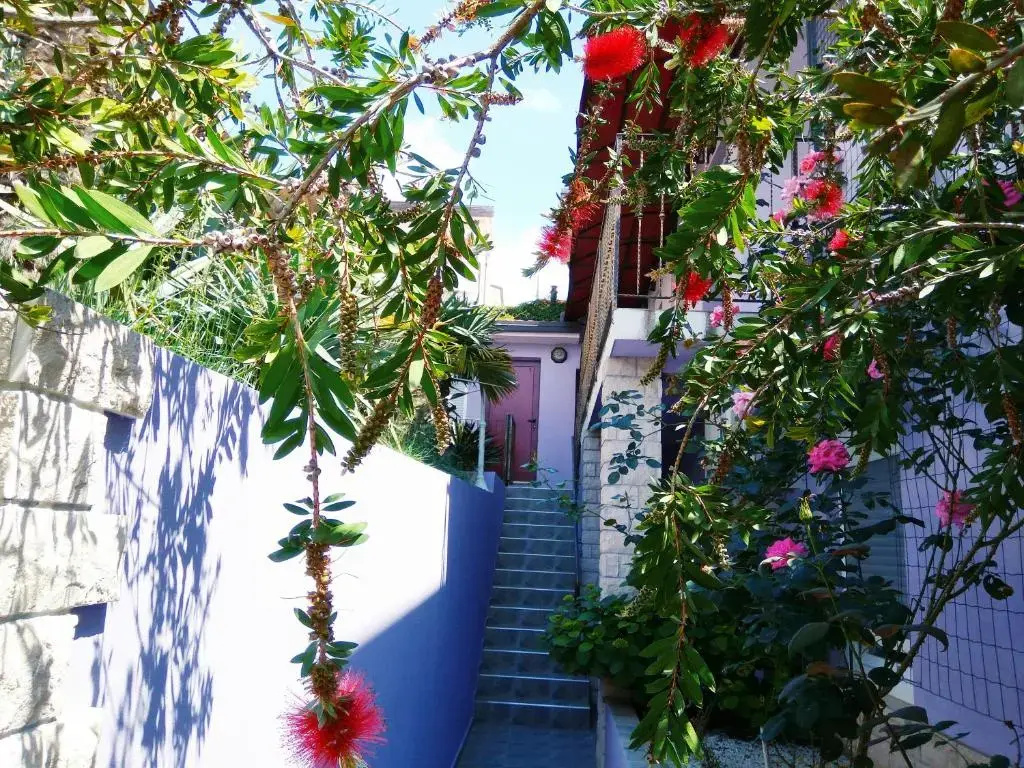 ApartHotel Viola - Chambres