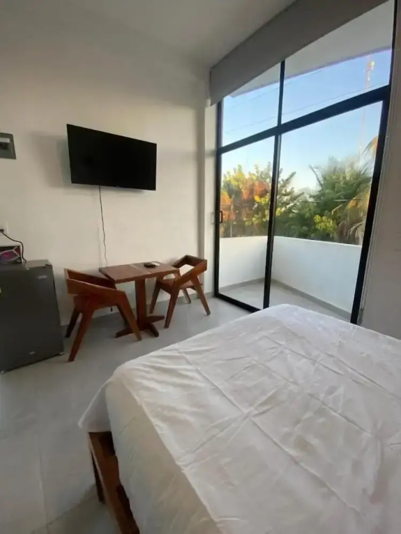 Standard Apartment with view