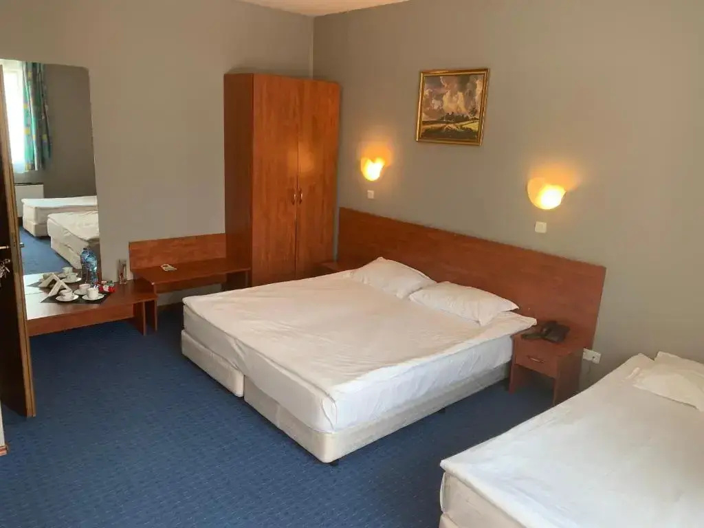 Sveta Sofia Hotel - Chambres
