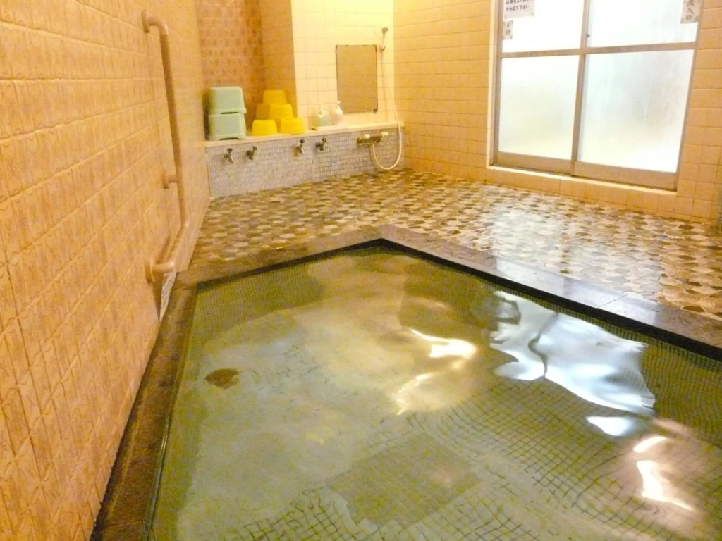 Hotel Shinwaka Lodge - Général