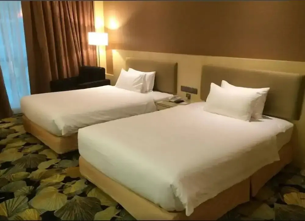 Deluxe Double room (twin beds)