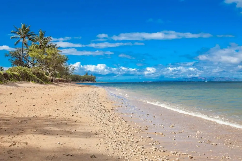 Beach & Waterfront