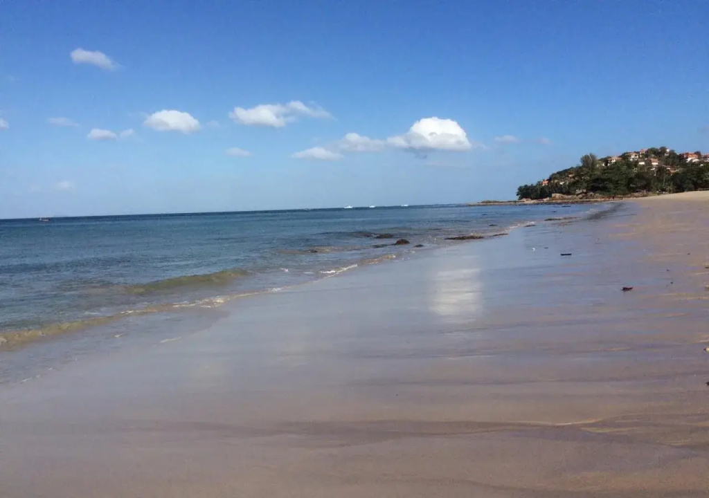 Beach & Waterfront