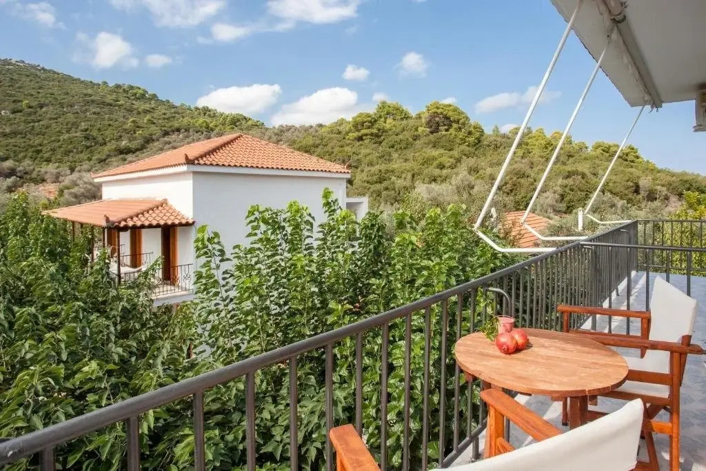 Balcony & Terrace