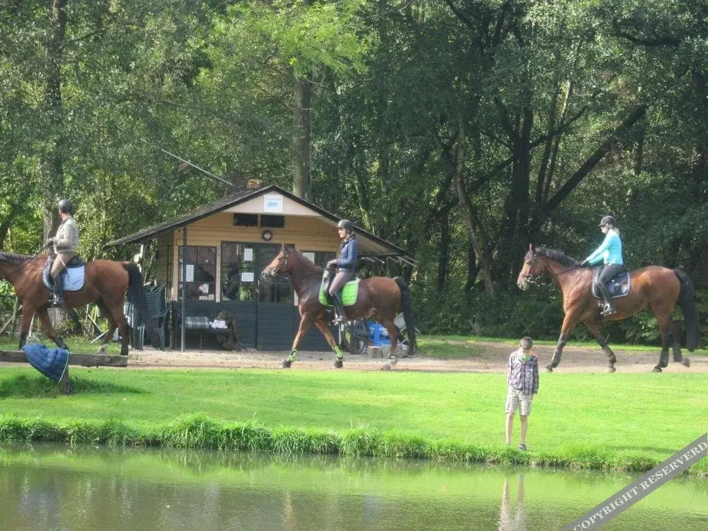 De Watermolen - фото 22