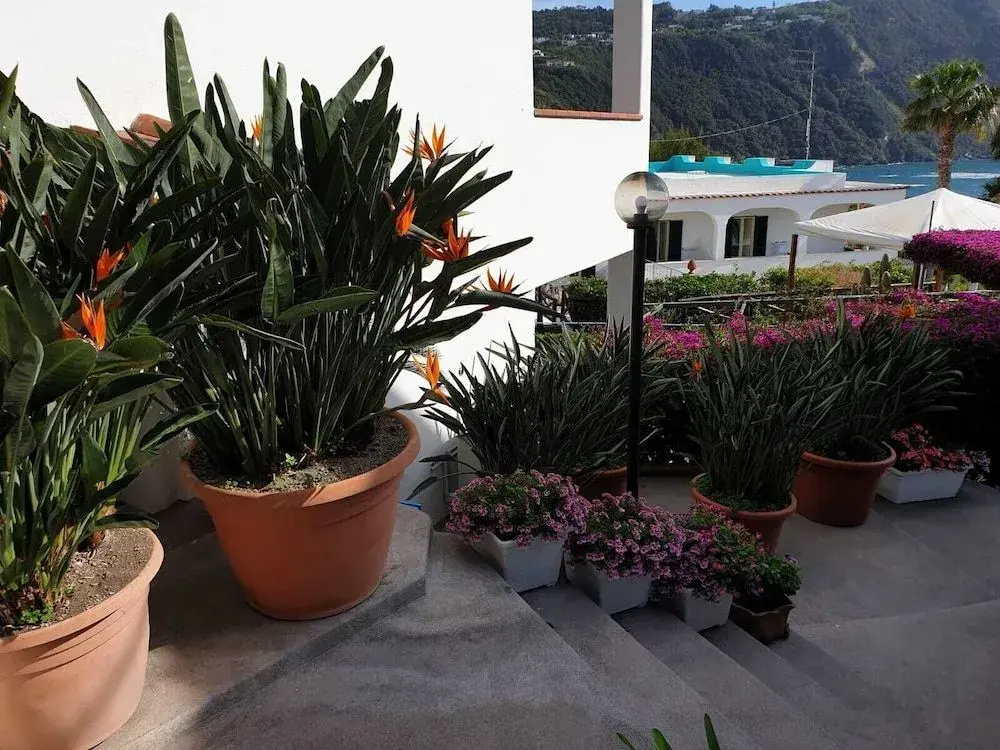 Hotel photo 19