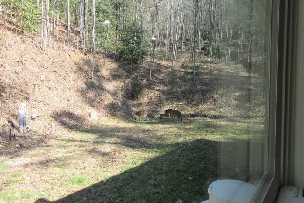 Deer Ridge Retreat