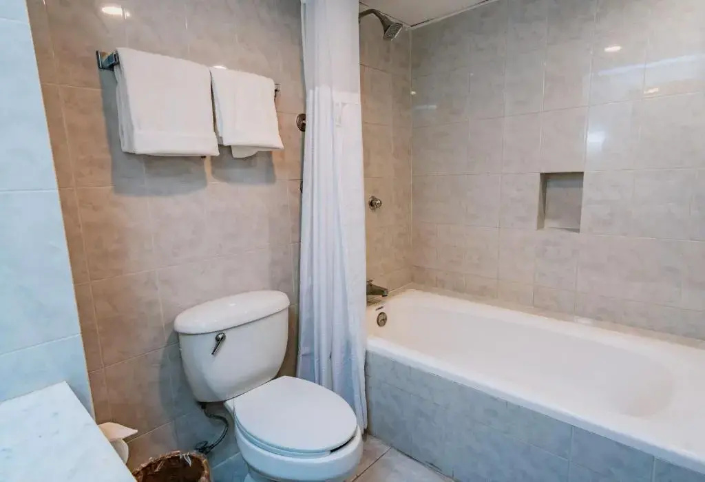 Deluxe Double room (full double bed)