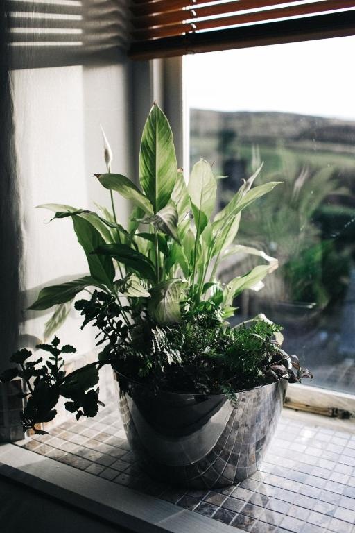 Saddleworth Holiday Cottages