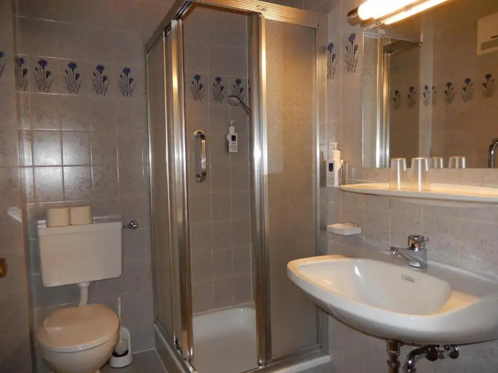 Kur- und Sporthotel Alpina - Hotel Alpina - Chambres
