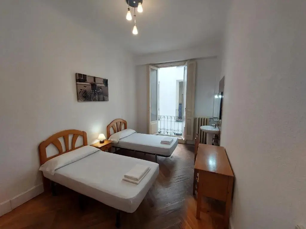 Standard Double room (twin beds)