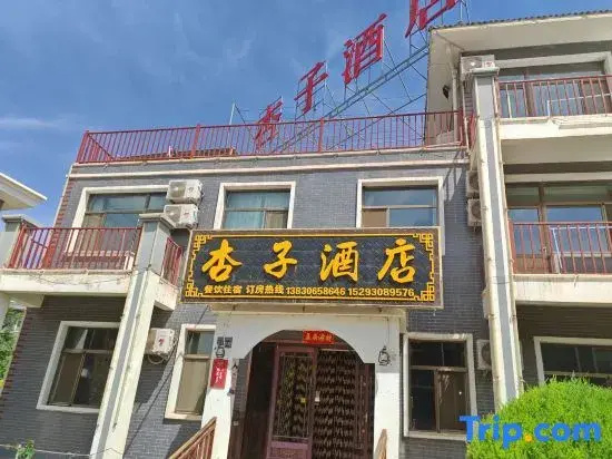Qicai Danxia Apricot Hotel