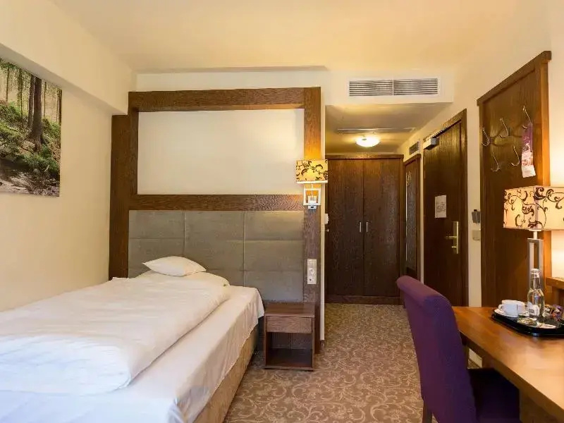 Hotel Mercure Krynica Zdroj Resort & Spa - Chambres