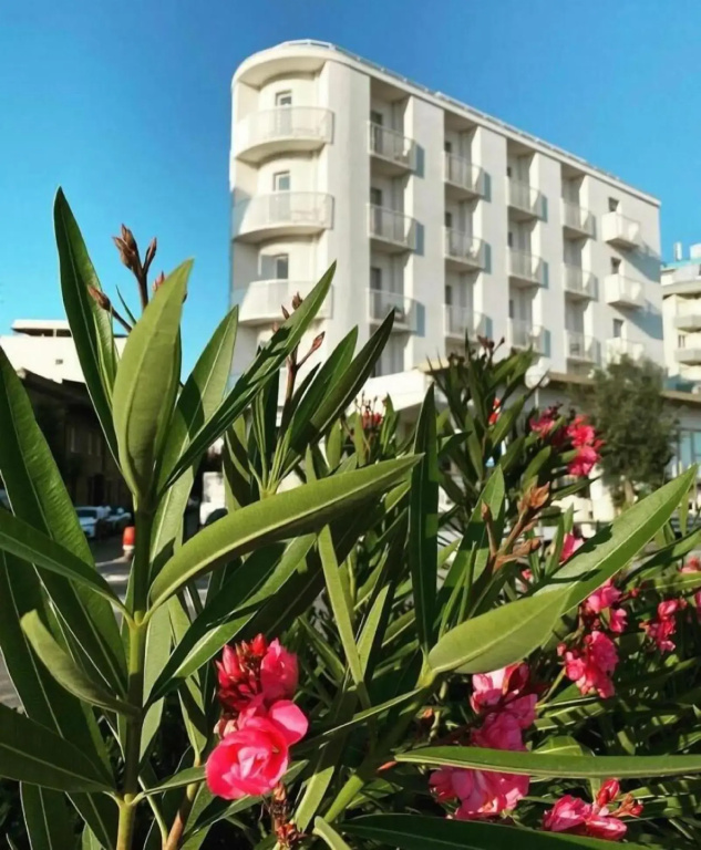 Hotel photo 25
