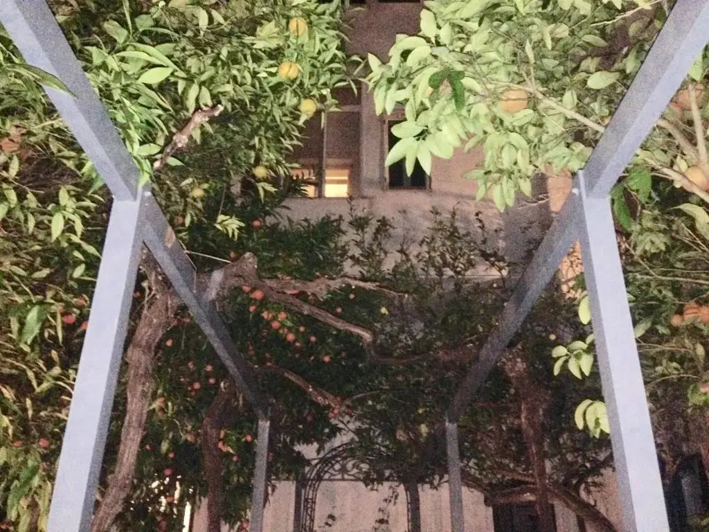 Dolce Farinella - Chambres