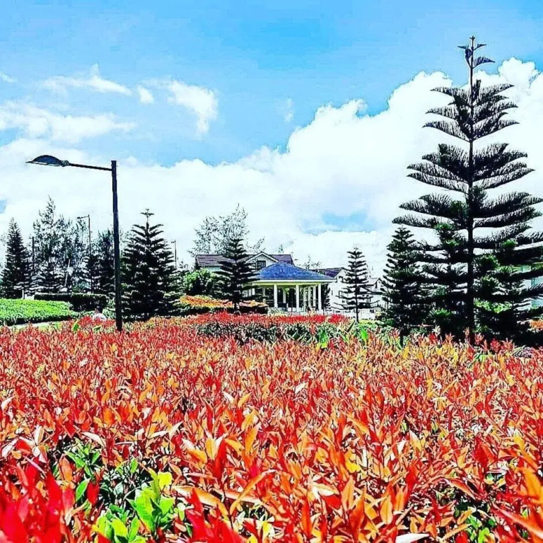 HomeStay at Wind Residences