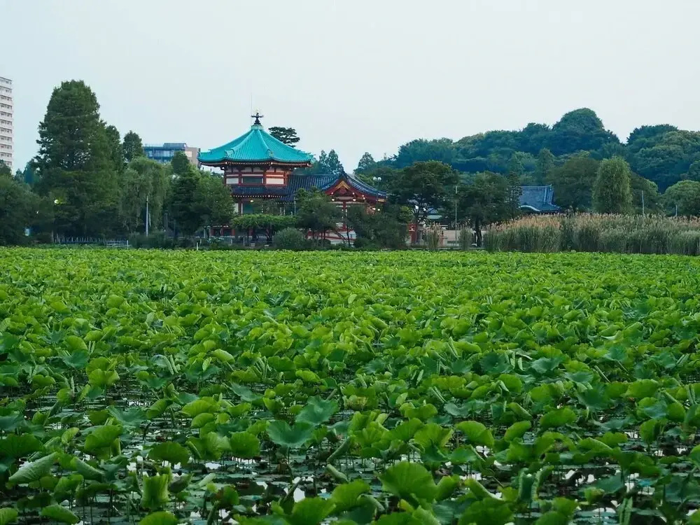 TORA HOTEL Taito A