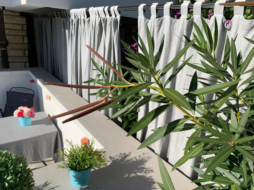 Hotel photo 31