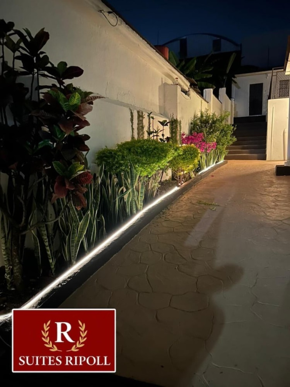 2 Bedrooms Standard Family Duplex room