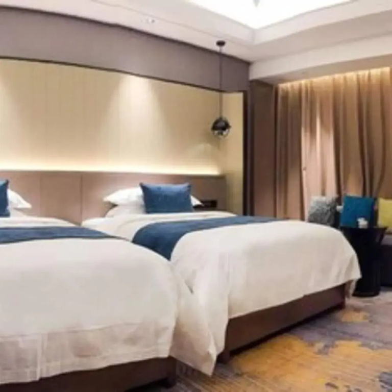 Business Double room (twin beds)