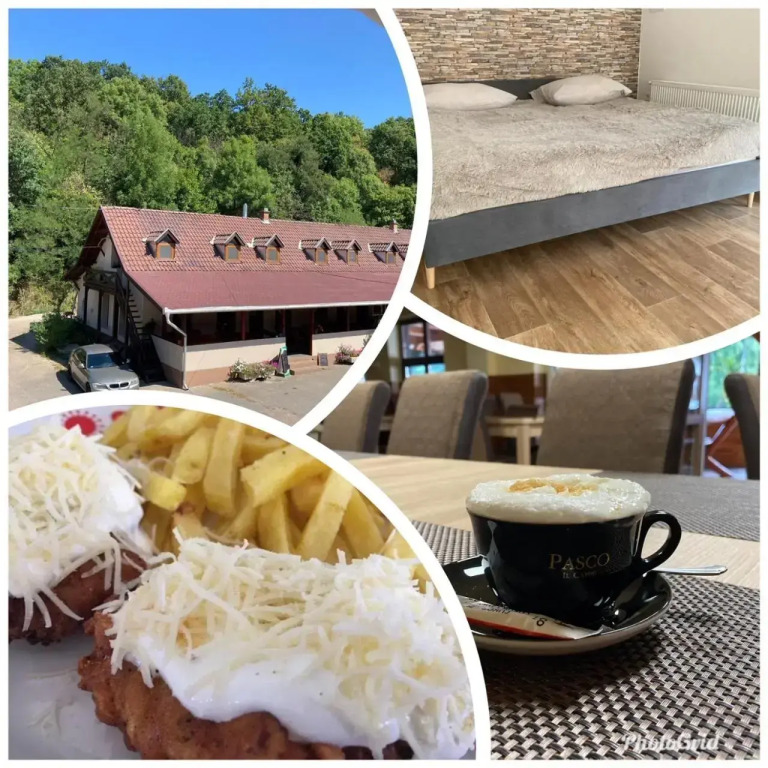 No1 Vendeghaz - фото 10