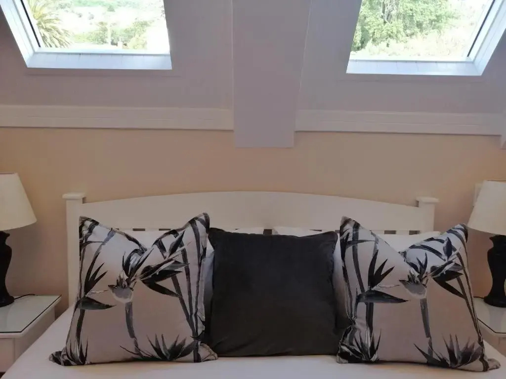 Standard Double room with mountain view (full double bed)