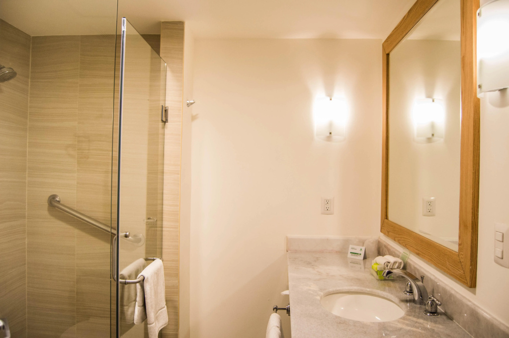 Holiday Inn Hotel & Suites Guadalajara-Centro Historico by IHG - Général