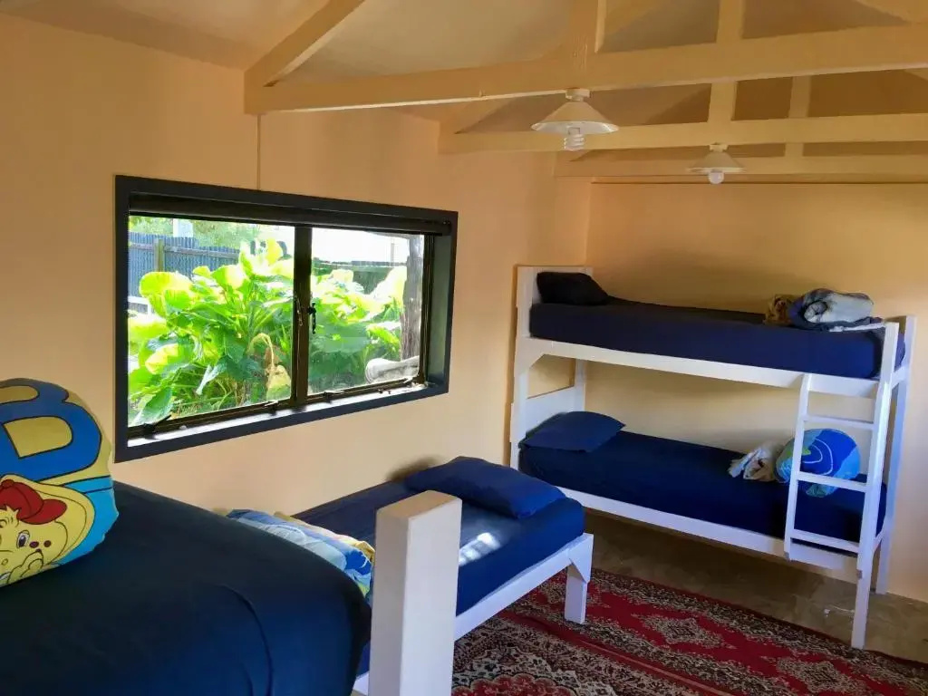 Bed in Dorm