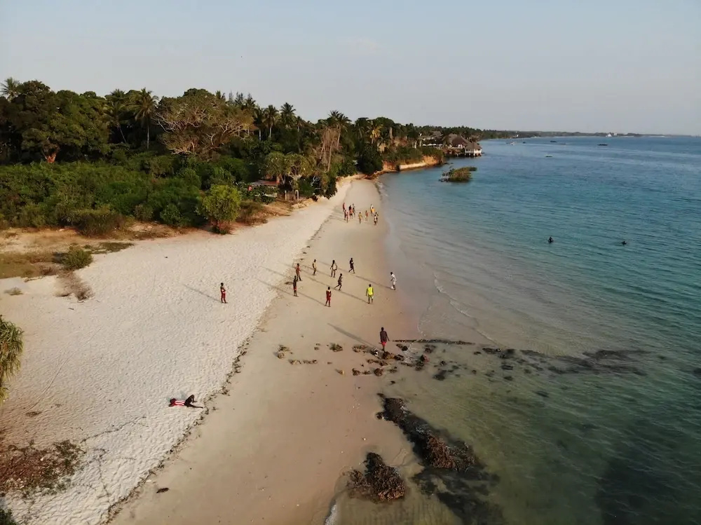 Mangrove Lodge - Général